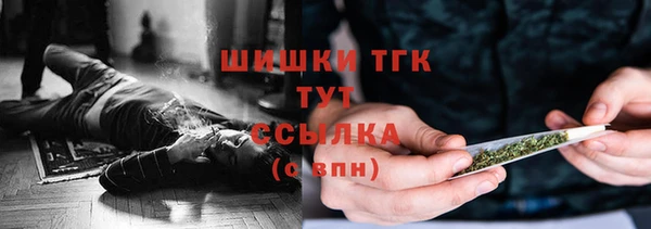 МДПВ Аша